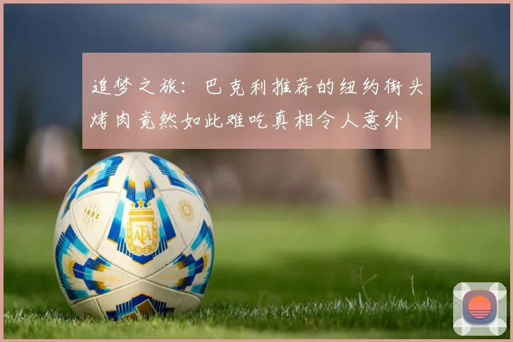 追梦之旅：巴克利推荐的纽约街头烤肉竟然如此难吃真相令人意外