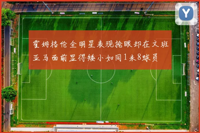 霍姆格伦全明星表现抢眼却在文班亚马面前显得矮小如同1米8球员